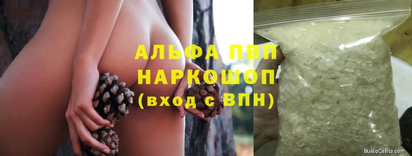 шишки Богданович